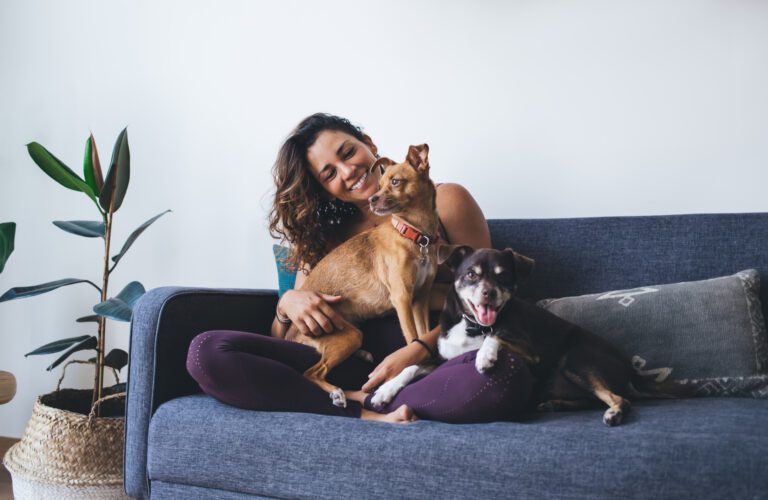 Women on Couch with Two Dogs