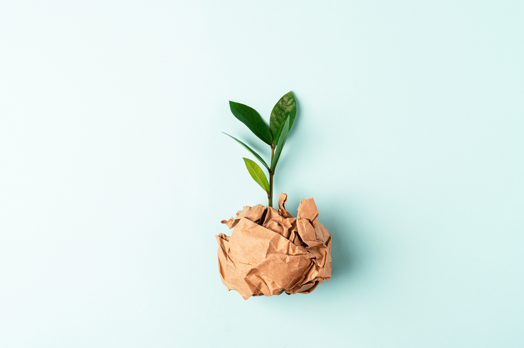 Sustainability 101: The Basics