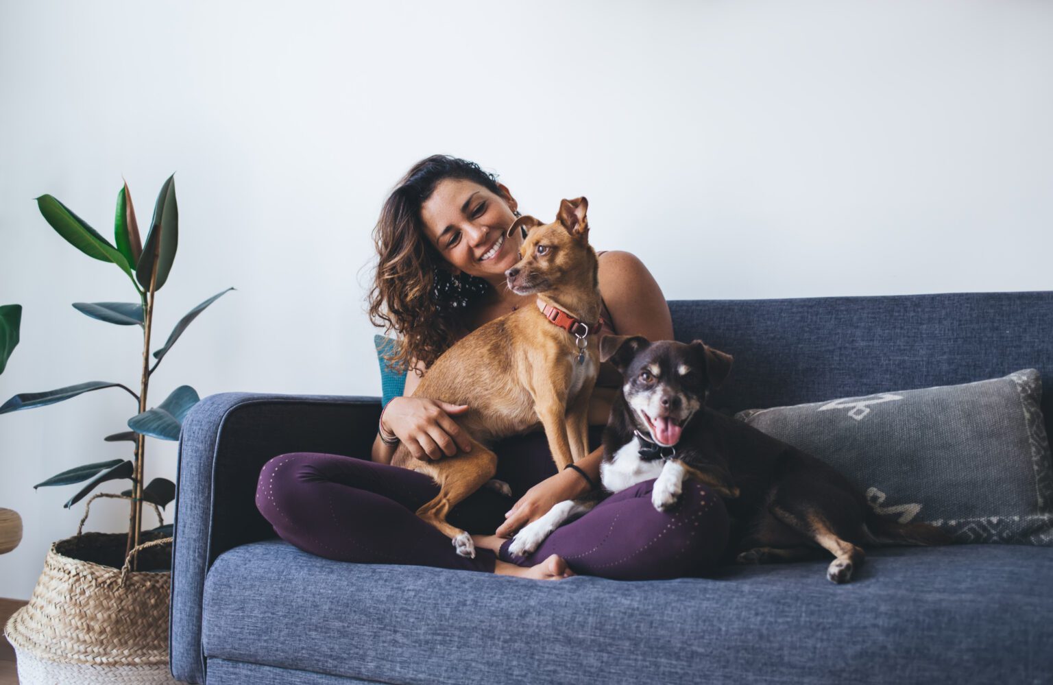 young woman on couch cuddling with two small dogs