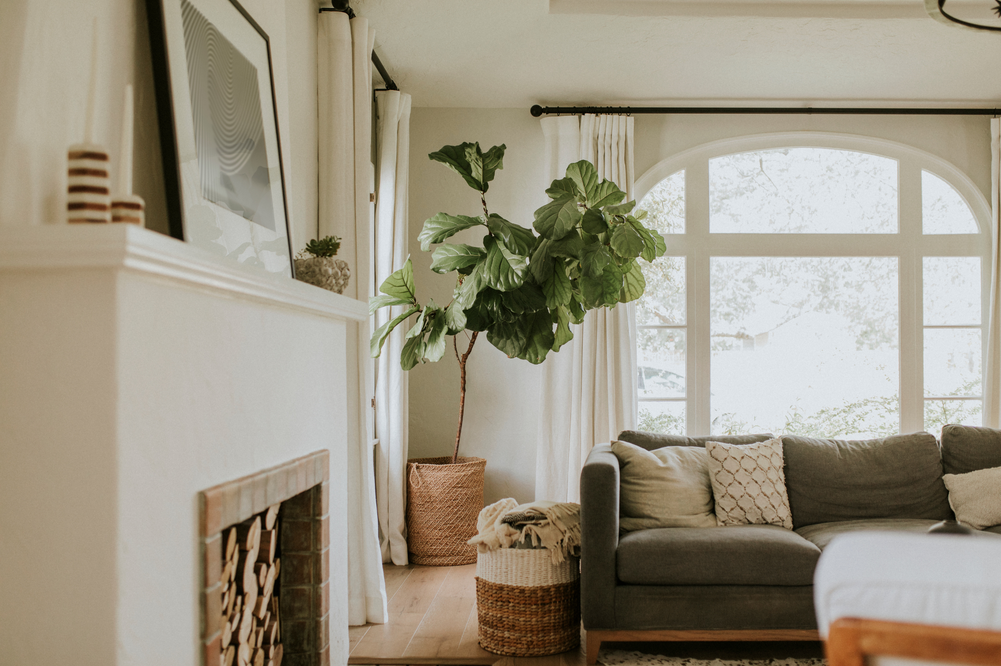 Clean Living Room