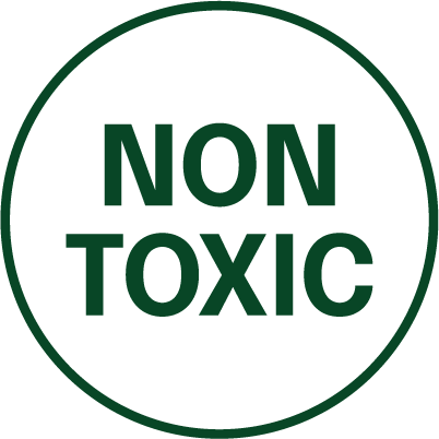 non-toxic icon