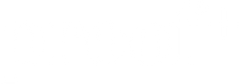 ProofPlus™ logo