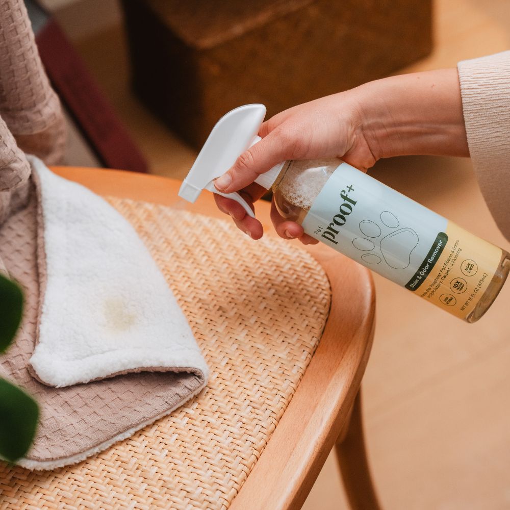 Woman spraying a pet accident with ProofPlus Pet Stain & Odor Remover