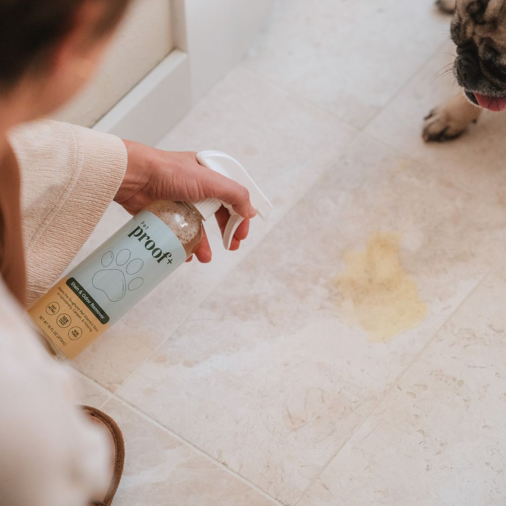 dog mom spraying ProofPlus Pet Stain & Odor Remover on pet urine stain on tile
