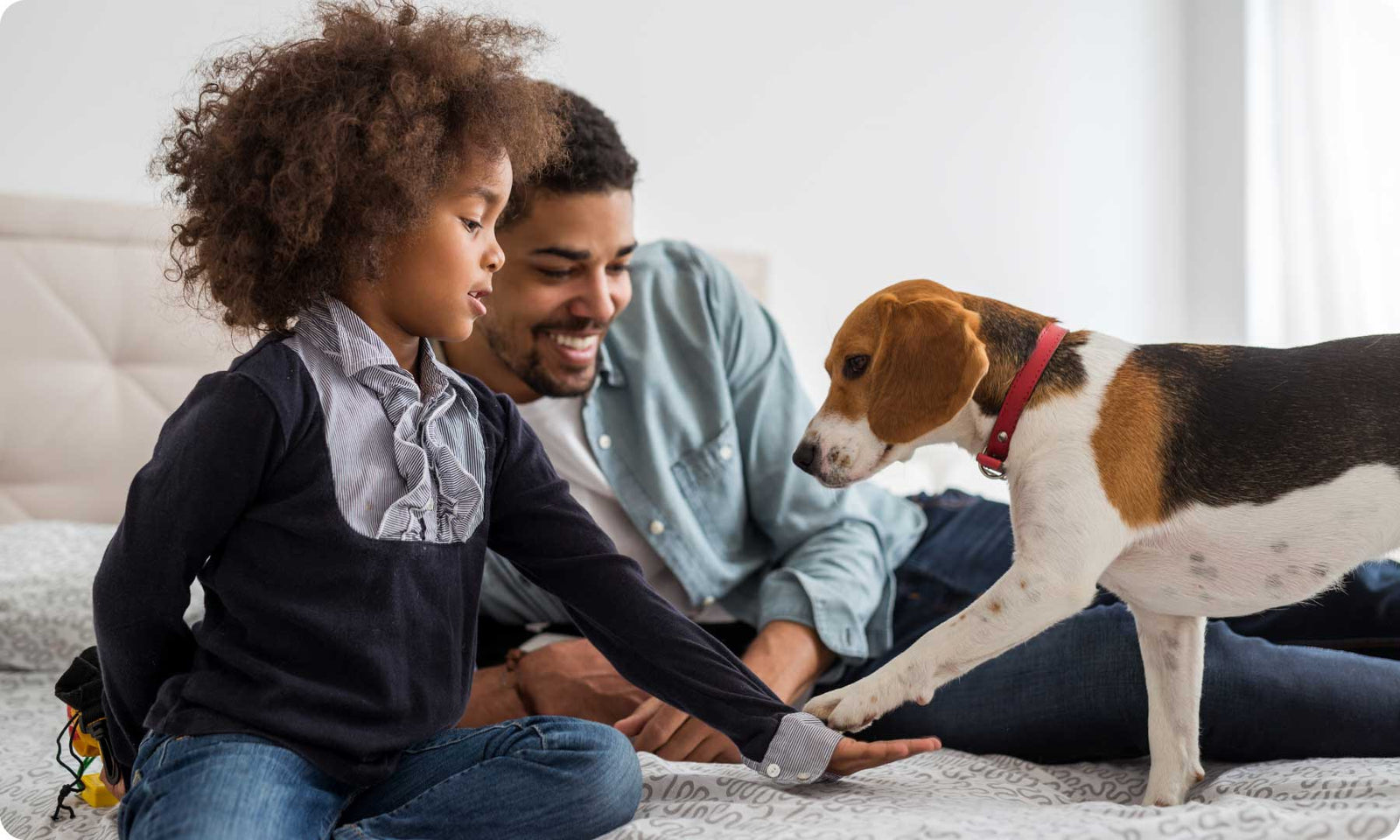 young daughter and father playing with beagle dog in bedroom