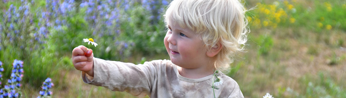 young toddler picking flowers in wildflower field