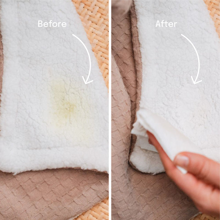 pet stain before and after being sprayed with pet stain & odor remover